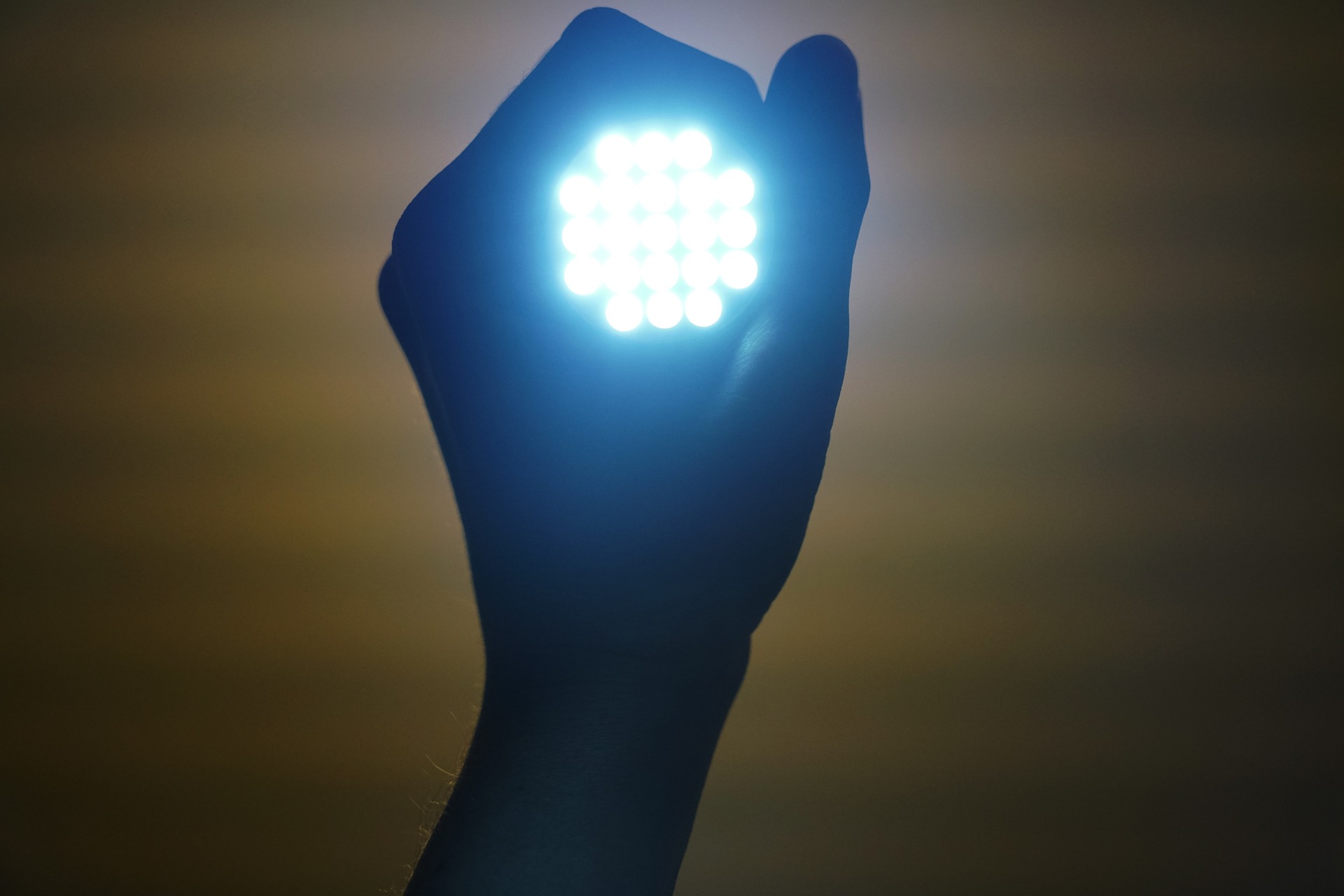 Pěstování pod umělým osvětlením: HPS vs. LED