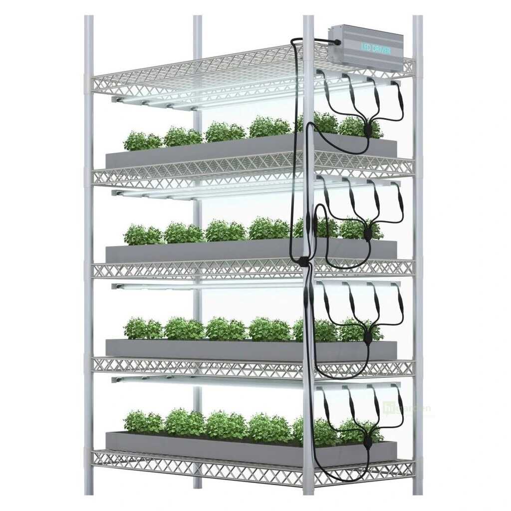 Vybíráme osvětlení na pěstování microgreens