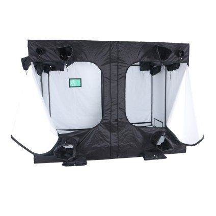 WHITE TITAN 1 PLUS HL (4)