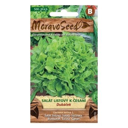 Semínka MoravoSeed Salát listový k česání DUBÁČEK, zelený 66370