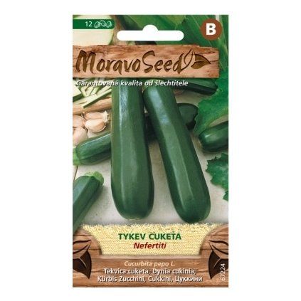 Semínka MoravoSeed Tykev cuketa zelená NEFERTITI 67224