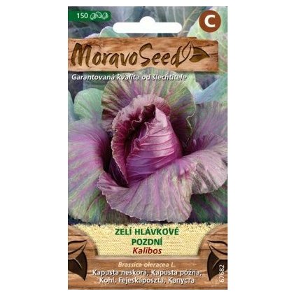 Semínka MoravoSeed Zelí hlávkové pozdní ke skladování KALIBOS, červené 67682