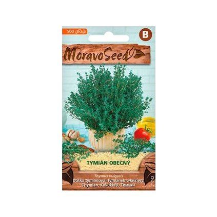 Semínka MoravoSeed Tymián obecný 71742