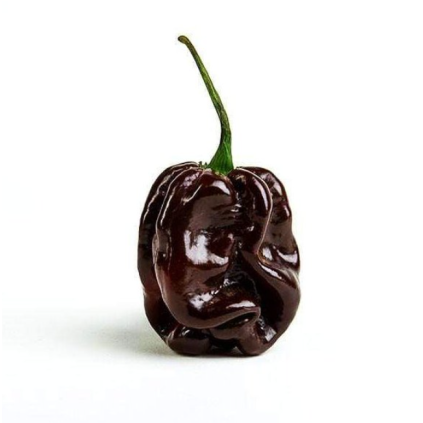 haba choco