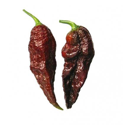 Bhut Jolokia Chocolate