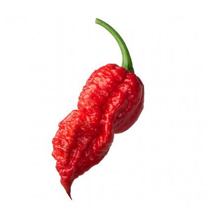 Bhut jolokia red