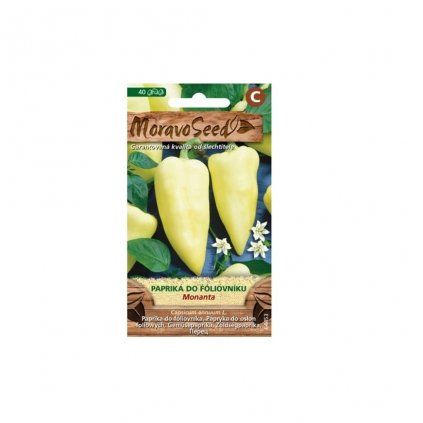 sem 204