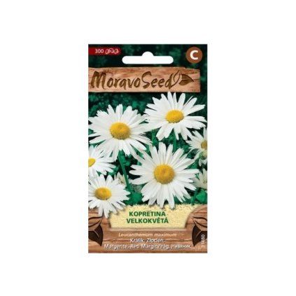 Semená MoravoSeed Kamilka veľkokvetá, biela 31480