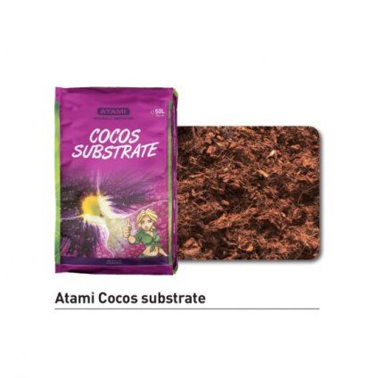 atami coco