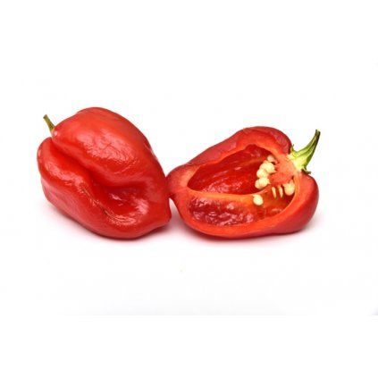 Peperoncino Habanero rosso lOrtofruttifero
