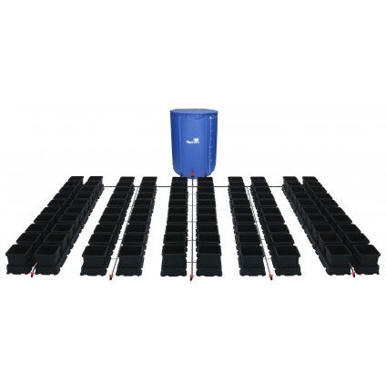 easy2grow 100 Black