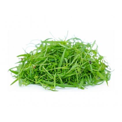 kopr