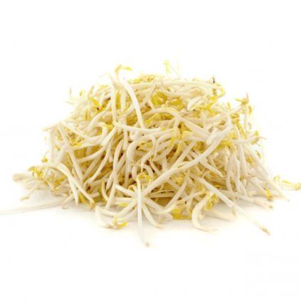 mungo bean