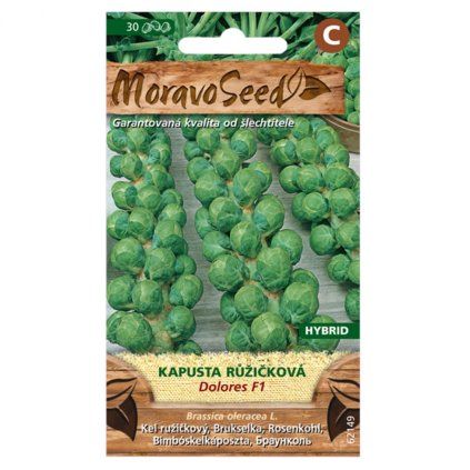 Semínka MoravoSeed Kapusta růžičková DOLORES F1 – hybrid, 40s