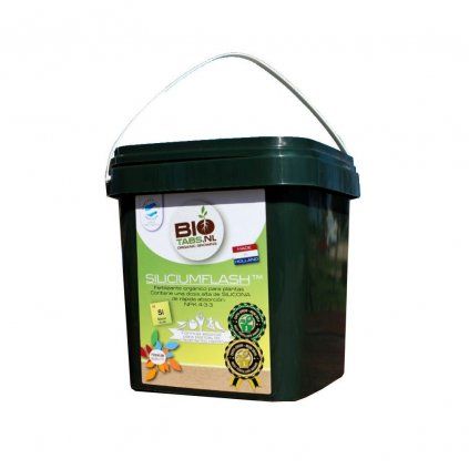 Biotabs Silicium Flash NEW