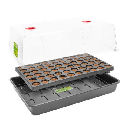 Root!t Dry Peat Free 60 Cell Propagator Kit skleník, 58x40.5x22.5cm