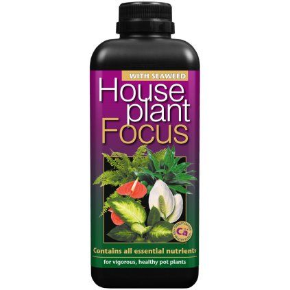 Growth Technology Houseplant Focus 1l