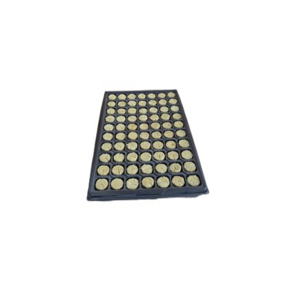 37154 begrow sadbovaci plug 36 x 40 mm v sadbovaci 70 ks