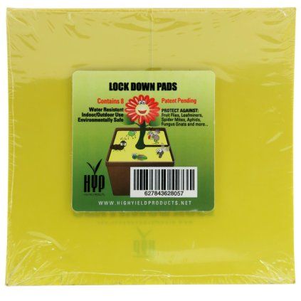 37532 hranate desky lepove zlute lock down pads 15 cm 8 ks