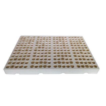 40568 grodan polystyrenovy sadbovac na 240 rostlin