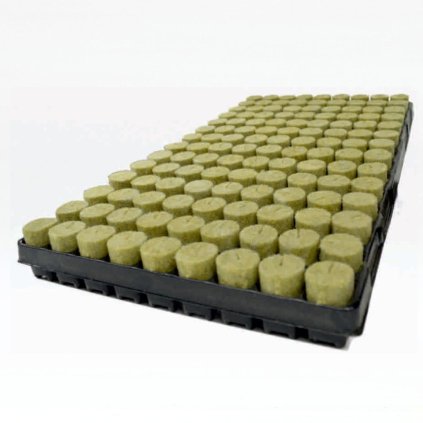 aw Plug basic 28