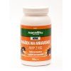 atak prasek na mravence amp 250g.jpg.big