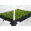 propagatorL10