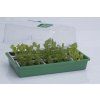HGA Garden Propagator 43 Foto2