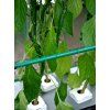 1539 9 nft gro tank gn 604