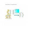gl14 komplet uv c germicidni svitidlo 11w g23 (5)
