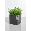 Cobble 14 anthracite 20