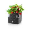 Cobble 14 anthracite 21