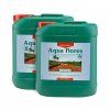 canna aqua flores ab