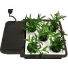 AQUAplate Square Situ No Tank cutout