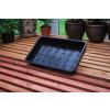 seed tray