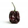 haba choco