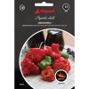Semínka Piquant Paprička chilli JAMAICAN ROSSO