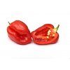 Peperoncino Habanero rosso lOrtofruttifero