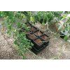 2987 2 tank 70l pro atami wilma xl