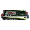 Garland tray 12 2