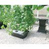 3576 6 nft gro tank pro 1m 100