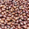 Fazole Adzuki na microgreens, 100g