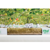 2024 06 08 17 28 42 grow media grodan 1m vital rockwool slab 39478509961431.jpg (1200×800)
