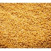 Hořčice bílá na microgreens, 50 g