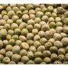 Hrách setý Affyla na microgreens, 1 kg