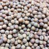 Hrách setý Maple Leaf na microgreens, 100 g
