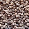 Lichořeřišnice nízká na microgreens, 50 g