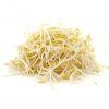 mungo bean