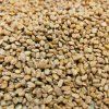 Pískavica grécke seno na microgreens, 50 g