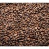 Ředkev červená Red Sango na microgreens, 50 g